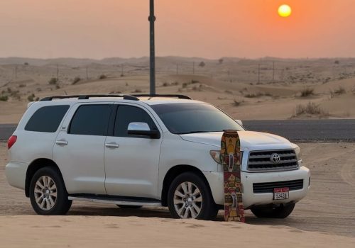 Morning Desert Safari